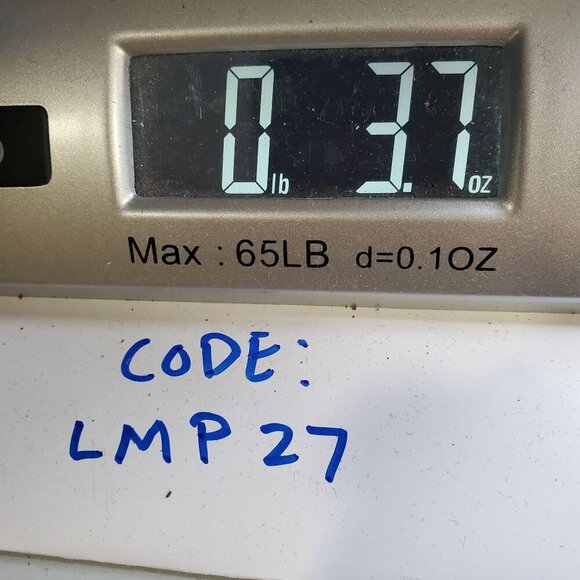 Gymshark Everyday Seamless Shorts Women Size Small NWT Work Out Athletic - Picture 10 of 10